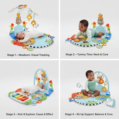 4-stage developmental guide