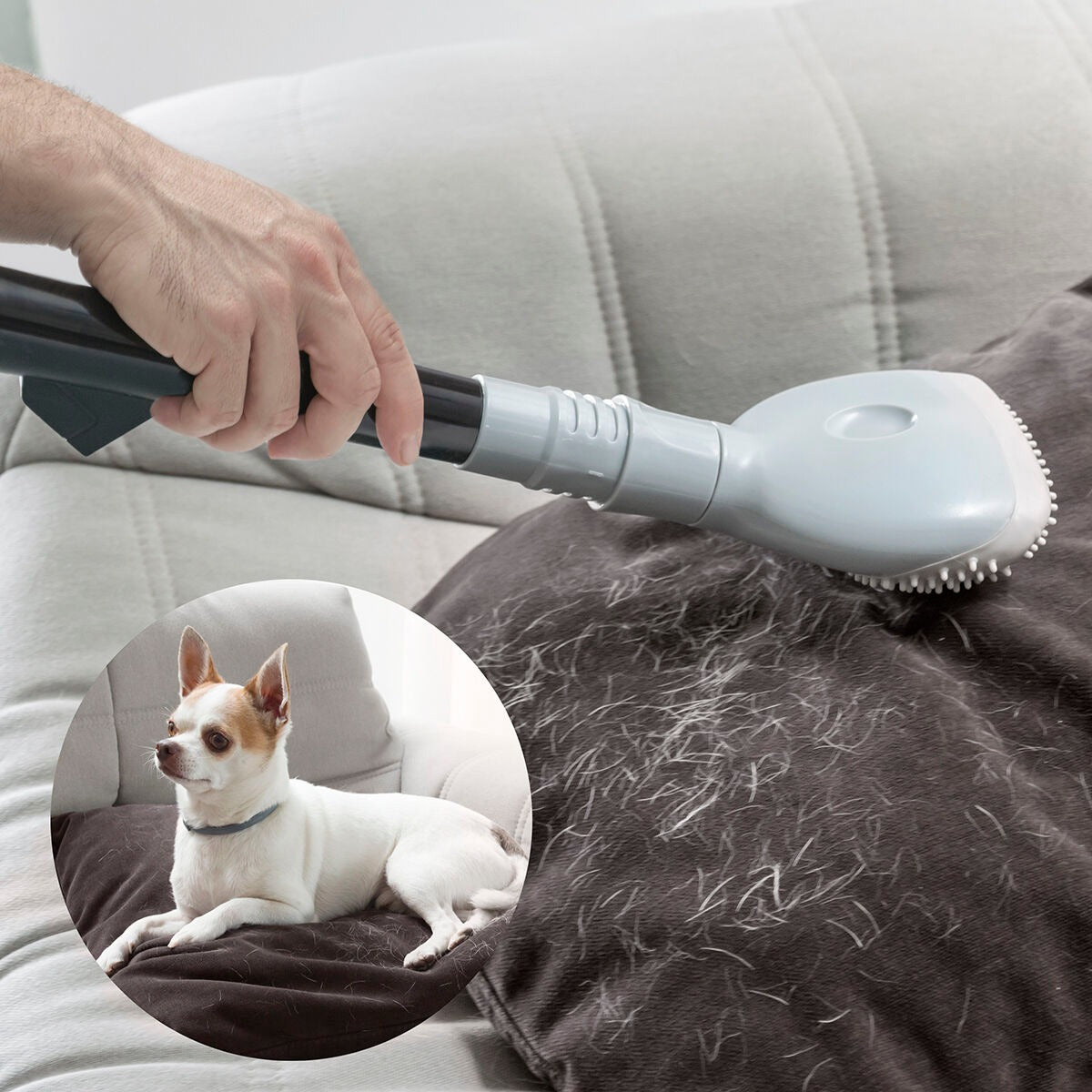 Smoovah Pet Hair Remover Vacuum Attachment – Efficient Dog & Cat Hair Removal Tool