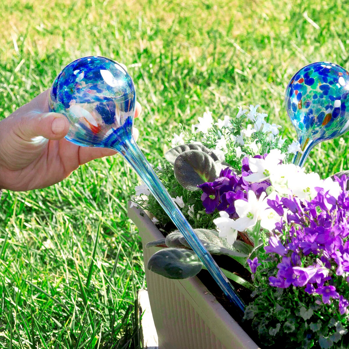 Automatic Plant Watering Globes – Self-Watering Irrigation Bulbs for Indoor & Outdoor Plants, 2-Pack